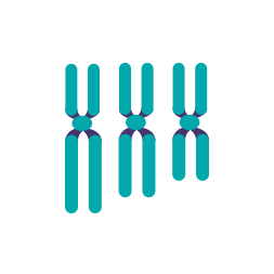 icon2