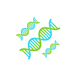 icon3